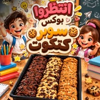 بوكس سوبر كتكوت